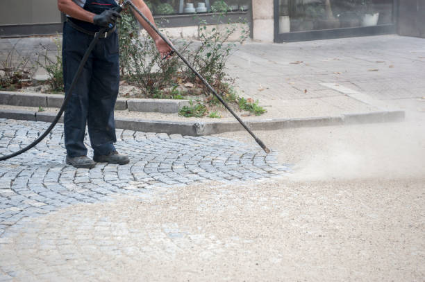 Best Animal Enclosure Cleaning  in Seward, AK